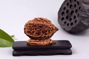 山東工藝美術學院研培學員創(chuàng)新產品設計大獎賽喜獲佳績，彰顯收藏品鑒定評估服務價值