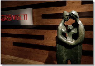 法國(guó)藝術(shù)家沃爾蒂作品展 藝術(shù)與美的交匯